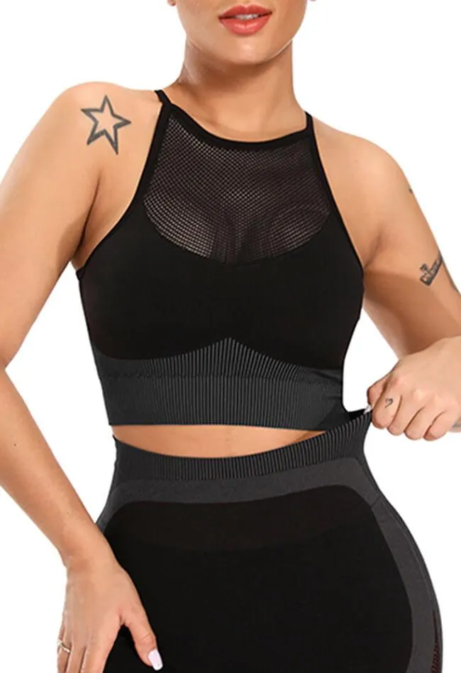 Contrast Mesh Seamless Sports Bra