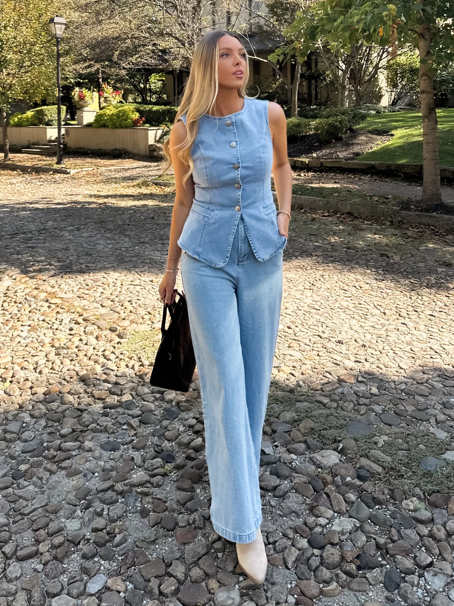 Hudson Button Denim Vest