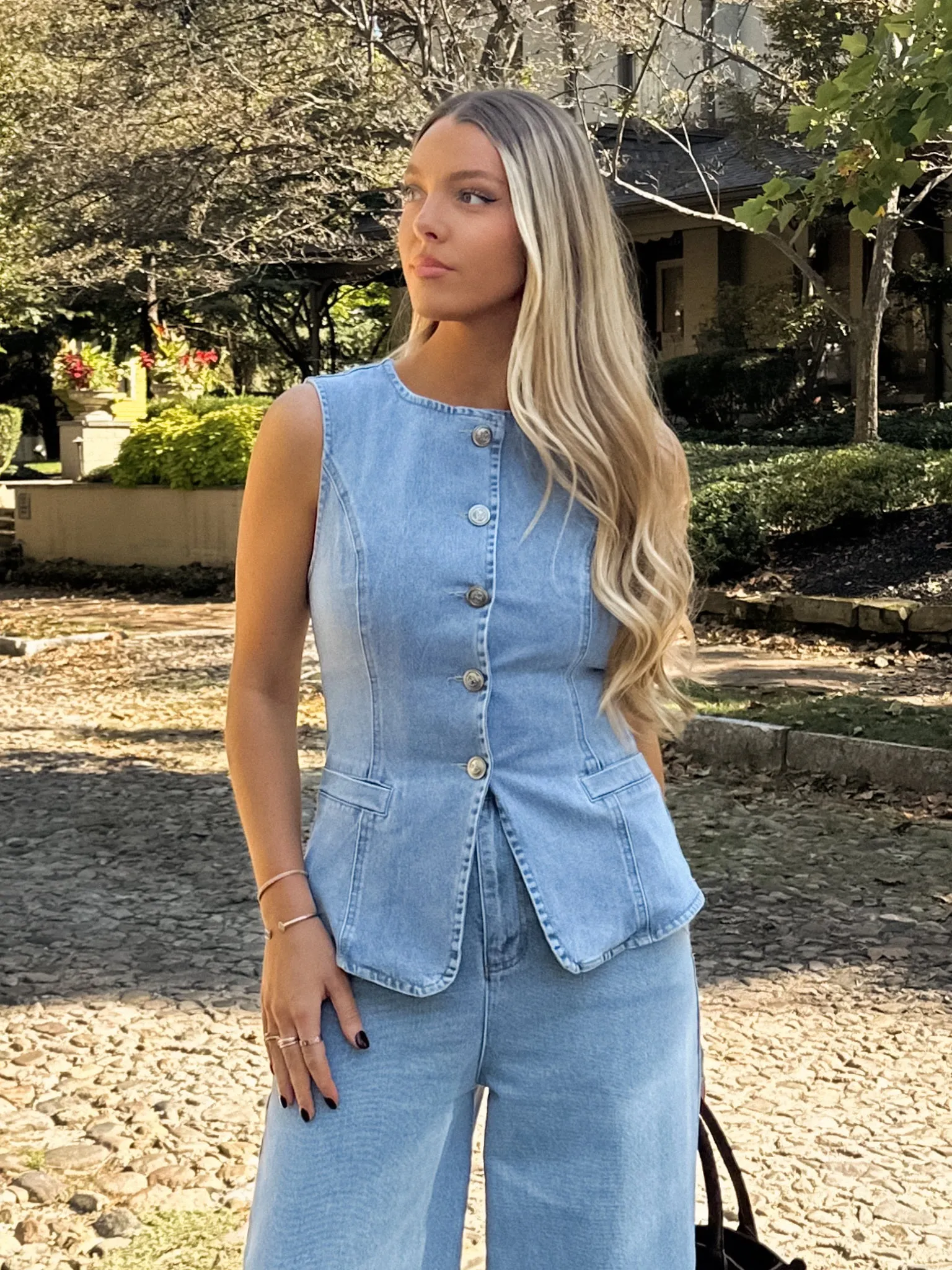 Hudson Button Denim Vest