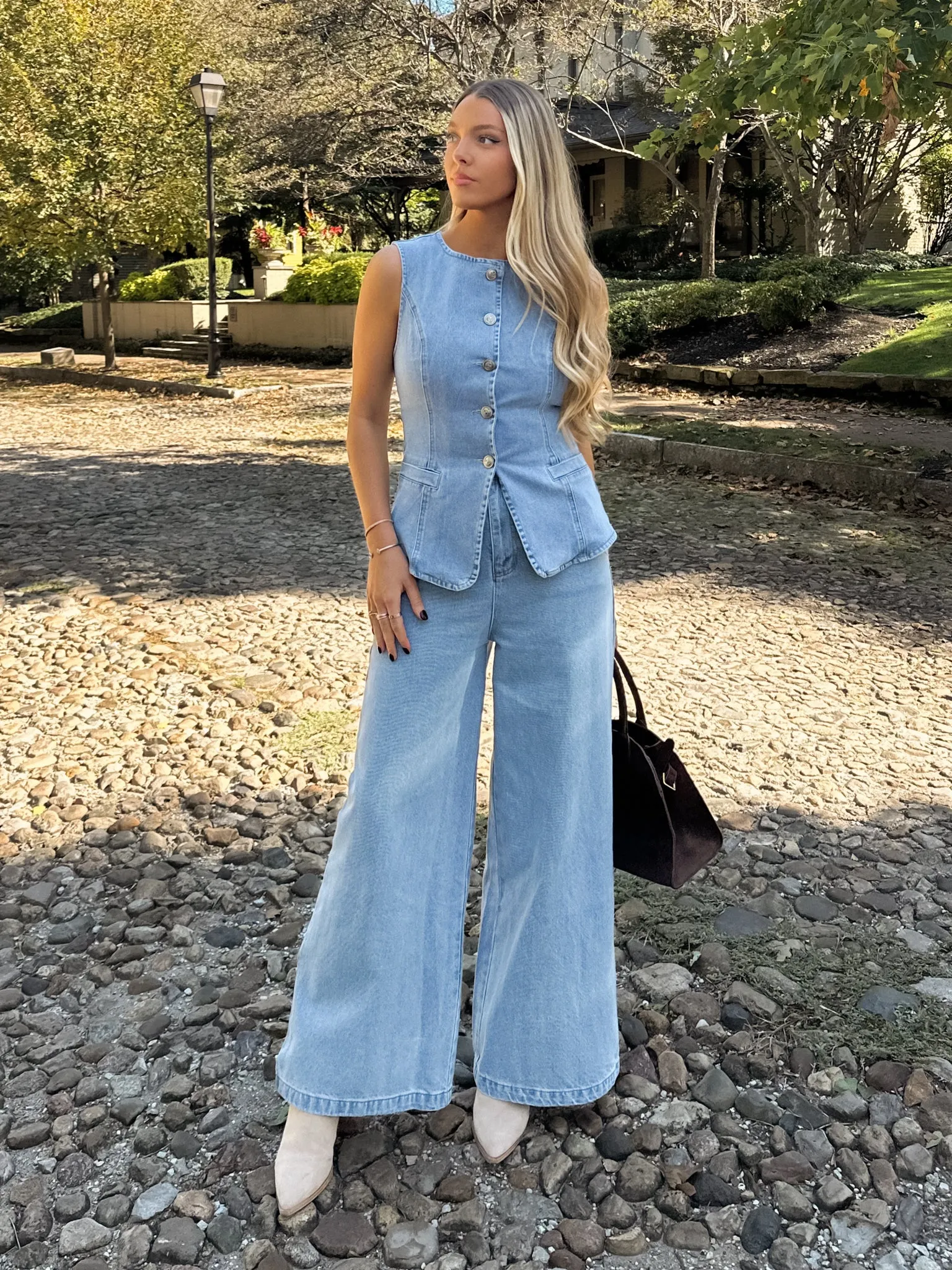 Hudson Button Denim Vest